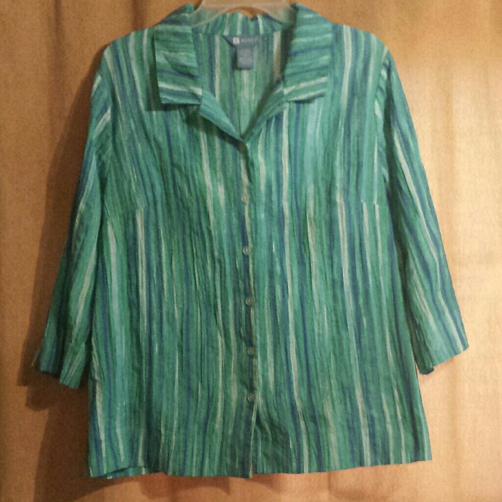 Blue & Green Blouse